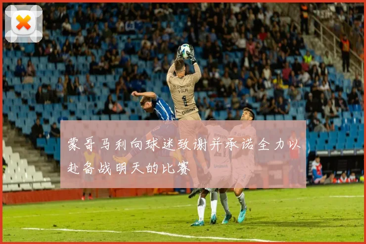 蒙哥马利向球迷致谢并承诺全力以赴备战明天的比赛